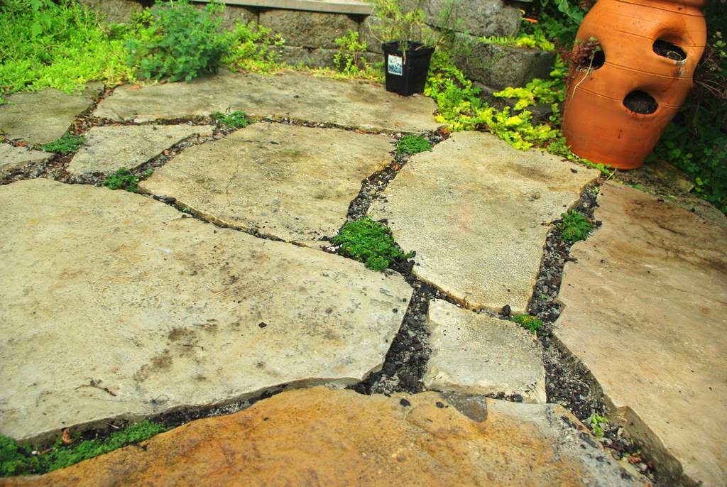 It's Not Work, It's Gardening! Filling flagstone patio cracks
